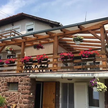 Guest house Yorki Panzio *